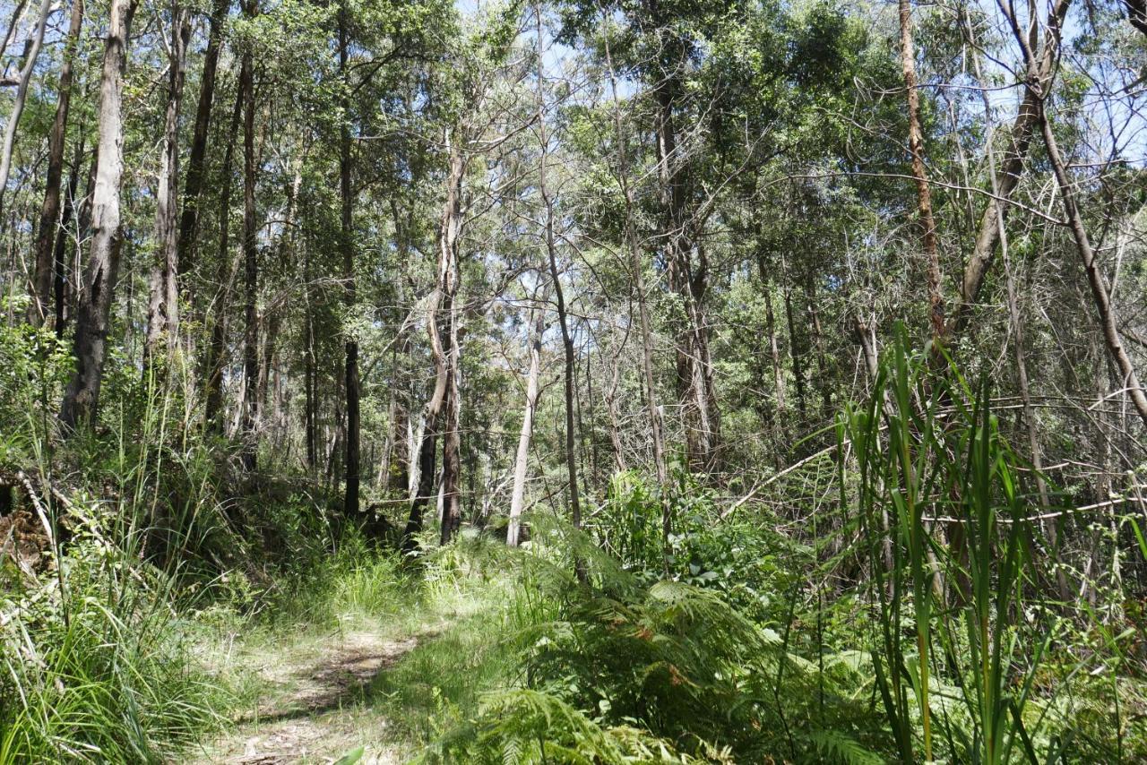 True North - 4Br Home & Garden In Bush Setting With Huge Bath Bilpin Buitenkant foto