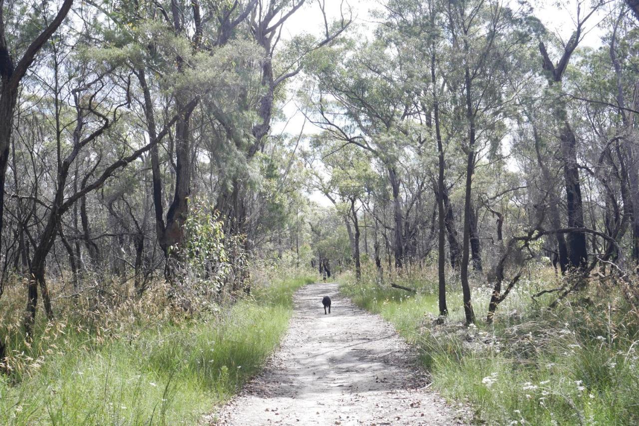 True North - 4Br Home & Garden In Bush Setting With Huge Bath Bilpin Buitenkant foto