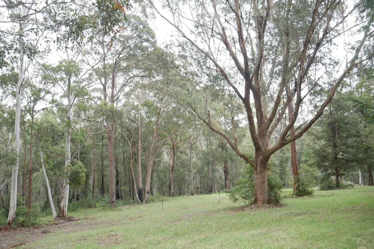 True North - 4Br Home & Garden In Bush Setting With Huge Bath Bilpin Buitenkant foto