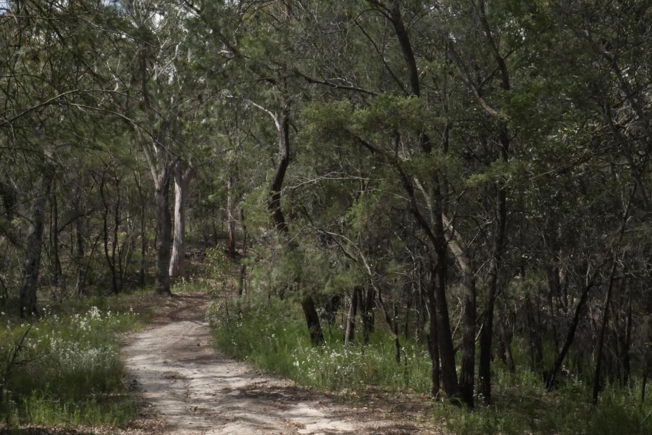 True North - 4Br Home & Garden In Bush Setting With Huge Bath Bilpin Buitenkant foto
