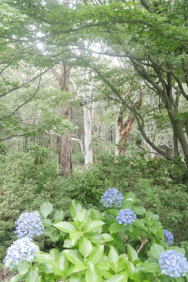 True North - 4Br Home & Garden In Bush Setting With Huge Bath Bilpin Buitenkant foto