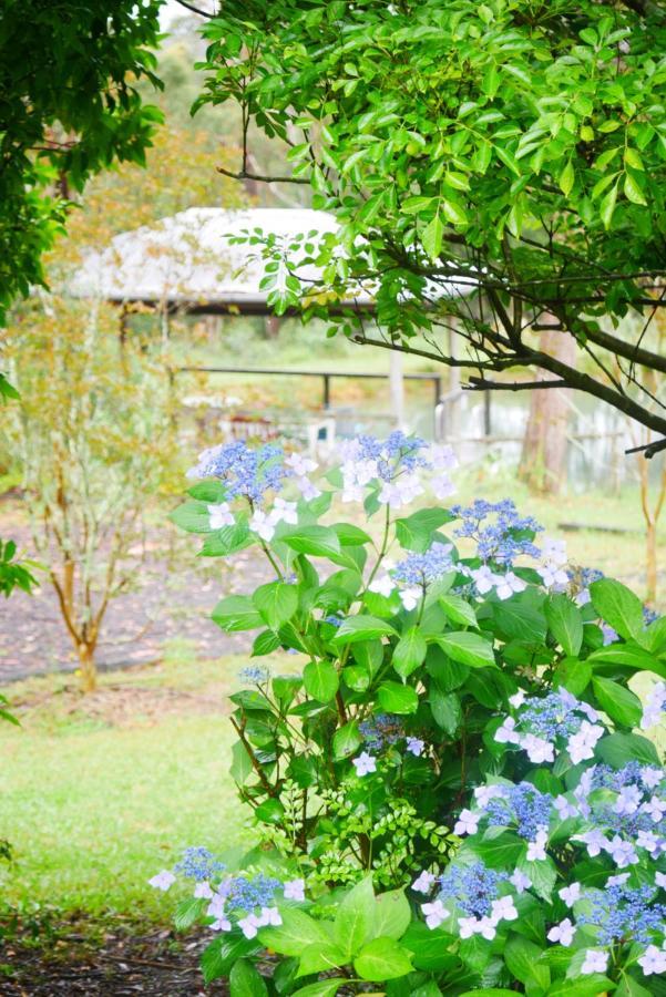 True North - 4Br Home & Garden In Bush Setting With Huge Bath Bilpin Buitenkant foto